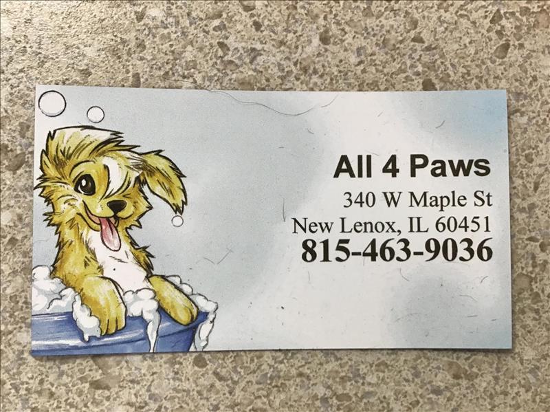 Dog Grooming Best Practices in New Lenox